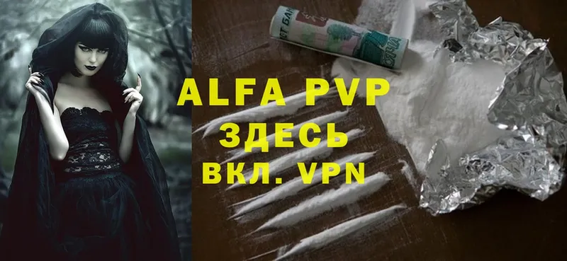 Alfa_PVP СК КРИС Мурманск