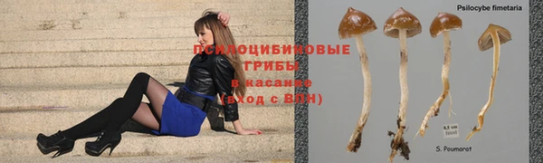 дистиллят марихуана Ладушкин