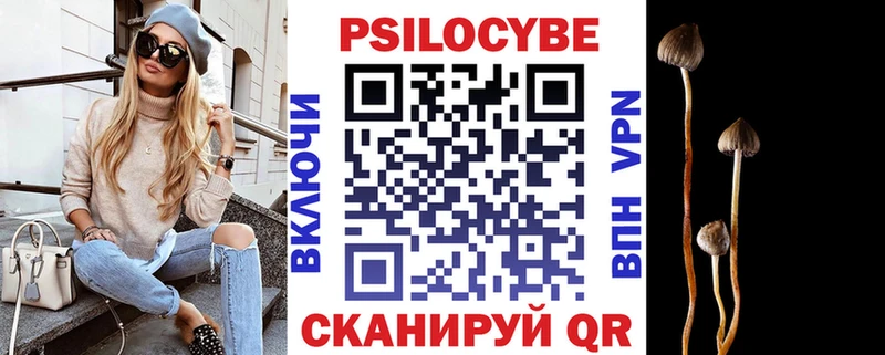 OMG онион  Мурманск  Галлюциногенные грибы Magic Shrooms 