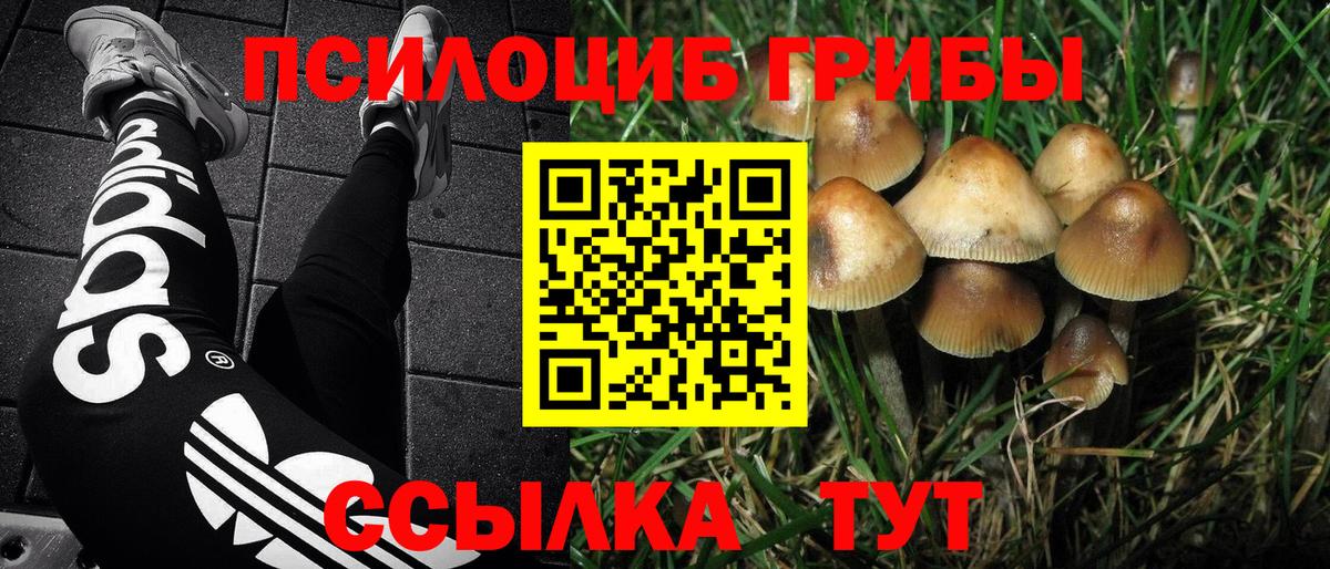 Галлюциногенные грибы ЛСД Мурманск