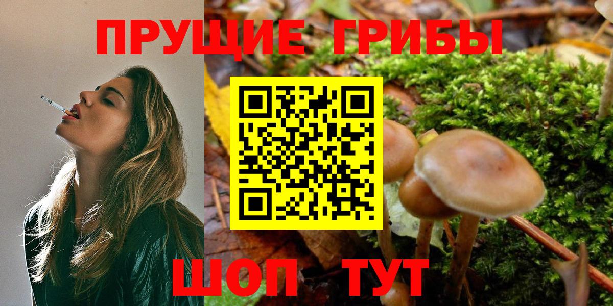 Псилоцибиновые грибы MAGIC MUSHROOMS  Вход с VPN  Мурманск 